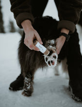 Load image into Gallery viewer, BUDDY PET FOOD - WAP 4 - PAW PIN