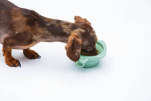 Load image into Gallery viewer, UNITED PETS - FOLDABLE TRAVEL BOWL