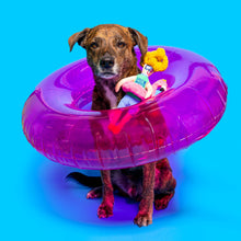 Load image into Gallery viewer, THE FURRYFOLKS - FLAMINGO HOOMAN NOSEWORK TOY