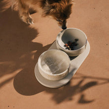 Load image into Gallery viewer, PINO PETS - CLASSIC BOWL - OWL GREIGE - SOLID