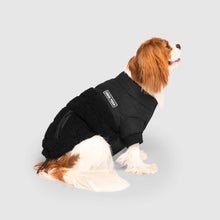 Load image into Gallery viewer, CANADA POOCH - COOL FACTOR PUFFER JACKET - BLACK