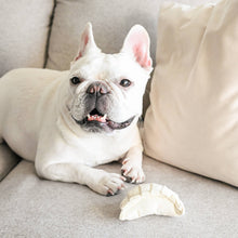 Load image into Gallery viewer, LAMBWOLF COLLECTIVE - DIM SUM POP