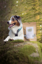 Load image into Gallery viewer, HOKUŌ - FREEZE DRIED CHICKEN & BLUE SPIRULINA SNACK