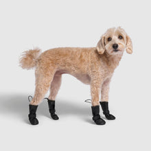 Load image into Gallery viewer, CANADA POOCH - WATERPROOF RAIN BOOTS - BLACK