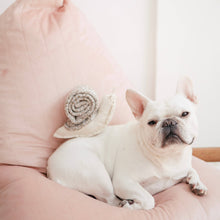 Load image into Gallery viewer, LAMBWOLF COLLECTIVE - SNAIL