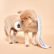 Load image into Gallery viewer, THE FURRYFOLKS - TOILET PAPER NOSEWORK TOY