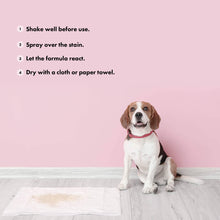 Load image into Gallery viewer, BELLY - ODOUR & STAIN REMOVER