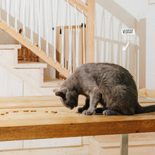 Load image into Gallery viewer, VEGCAT - SKINCARES
