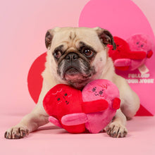Load image into Gallery viewer, THE FURRYFOLKS - LOVE LOCKED
