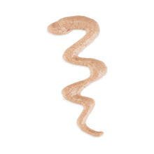 Load image into Gallery viewer, SCHESIR BABY THRIVE - CHICKEN WITH DUCK LIVER