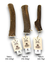 Load image into Gallery viewer, MR. BONES - DEER ANTLER