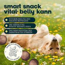 Load image into Gallery viewer, DOG'S LOVE - SMART SNACK - BELLY