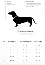 Load image into Gallery viewer, CLOUD7 - DACHSHUND COAT BROOKLYN REFLECTIVE
