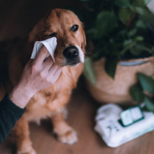 Load image into Gallery viewer, BECO - EYE WIPES - UNSCENTED