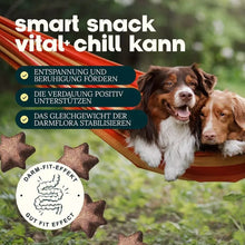 Load image into Gallery viewer, DOG'S LOVE - SMART SNACK - CHILL