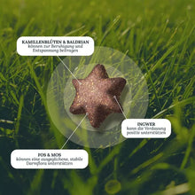 Load image into Gallery viewer, DOG'S LOVE - SMART SNACK - CHILL