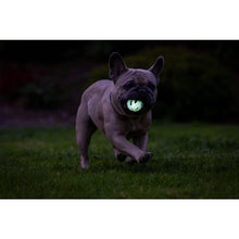 Load image into Gallery viewer, CHUCKIT - AIR GLOW FETCH BALL