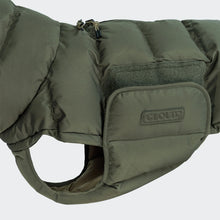Load image into Gallery viewer, CLOUD7 - DOG COAT ALASKA - LIGHT OLIVE