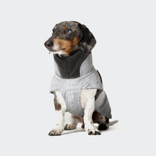 Load image into Gallery viewer, CLOUD7 - DACHSHUND COAT BROOKLYN REFLECTIVE