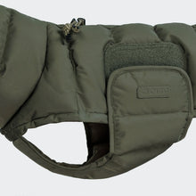 Load image into Gallery viewer, CLOUD7 - DACHSHUND COAT ALASKA - LIGHT OLIVE