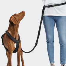 Load image into Gallery viewer, CLOUD7 - L2 JOGGING LEASH AKTIV BLACK