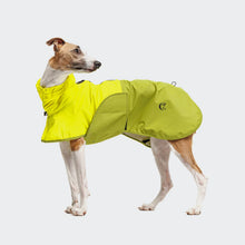 Load image into Gallery viewer, CLOUD7 - DACHSHUND RAINCOAT AKTIV - NEON GREEN/LIGHT OLIVE