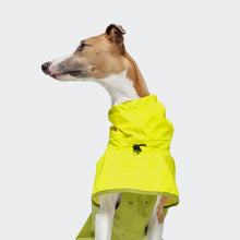 Load image into Gallery viewer, CLOUD7 - DACHSHUND RAINCOAT AKTIV - NEON GREEN/LIGHT OLIVE