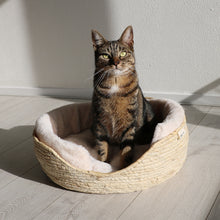 Load image into Gallery viewer, D&D - ELLA BASKET - DIFFERENT COLORS