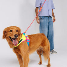 Load image into Gallery viewer, ZEE.DOG - HANDSFREE LEASH