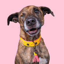 Load image into Gallery viewer, DOG WITH A MISSION - URBAN JESSY COLLAR
