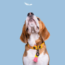 Load image into Gallery viewer, DOG WITH A MISSION - URBAN JESSY COLLAR