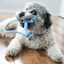Load image into Gallery viewer, KONG - PUPPY GOODIE BONE WITH ROPE