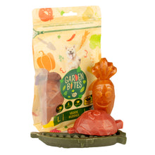 Load image into Gallery viewer, GARDEN BITES - VEGGIE BUDDIES