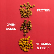 Load image into Gallery viewer, IMBY - INSECT BASED - MAXI