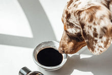 Load image into Gallery viewer, LILA LOVES IT - MOOR TONIC