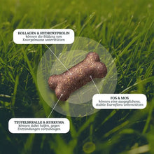 Load image into Gallery viewer, DOG'S LOVE - SMART SNACK - MOVE