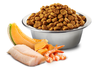 Load image into Gallery viewer, FARMINA OCEAN - KITTEN - COD, SHRIMP, PUMPKIN AND CANTALOUPE MELON