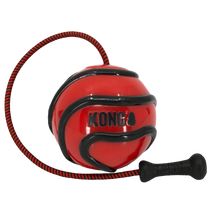 Load image into Gallery viewer, KONG - WAVZ