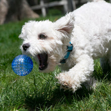 Load image into Gallery viewer, KONG - SQUEEZZ GEOD'Z