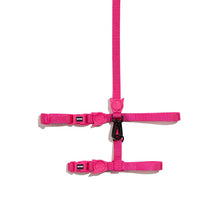 Load image into Gallery viewer, ZEE.CAT - PINK LED HARNESS WITH LEASH