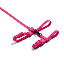 Load image into Gallery viewer, ZEE.CAT - PINK LED HARNESS WITH LEASH