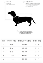 Load image into Gallery viewer, CLOUD7 - DACHSHUND RAINCOAT AKTIV - BLACK