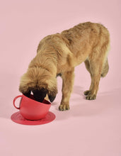 Load image into Gallery viewer, UNITED PETS - ECO-FRIENDLY ANTI-SPLASH TALL BOWL