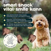 Load image into Gallery viewer, DOG'S LOVE - SMART SNACK - SMILE