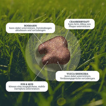 Load image into Gallery viewer, DOG'S LOVE - SMART SNACK - SMILE