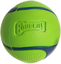 Load image into Gallery viewer, CHUCKIT SNIFF FETCH BALL - DIFFERENT SCENTS