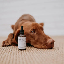 Load image into Gallery viewer, BUDDY PET FOOD - WAP 7 - EAR WASH