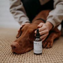Load image into Gallery viewer, BUDDY PET FOOD - WAP 7 - EAR WASH