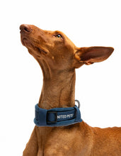 Load image into Gallery viewer, UNITED PETS - PADDED SOFT COLLAR - DENIM
