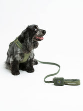Load image into Gallery viewer, UNITED PETS - LEASH WITH PADDED HANDLE - GREEN
